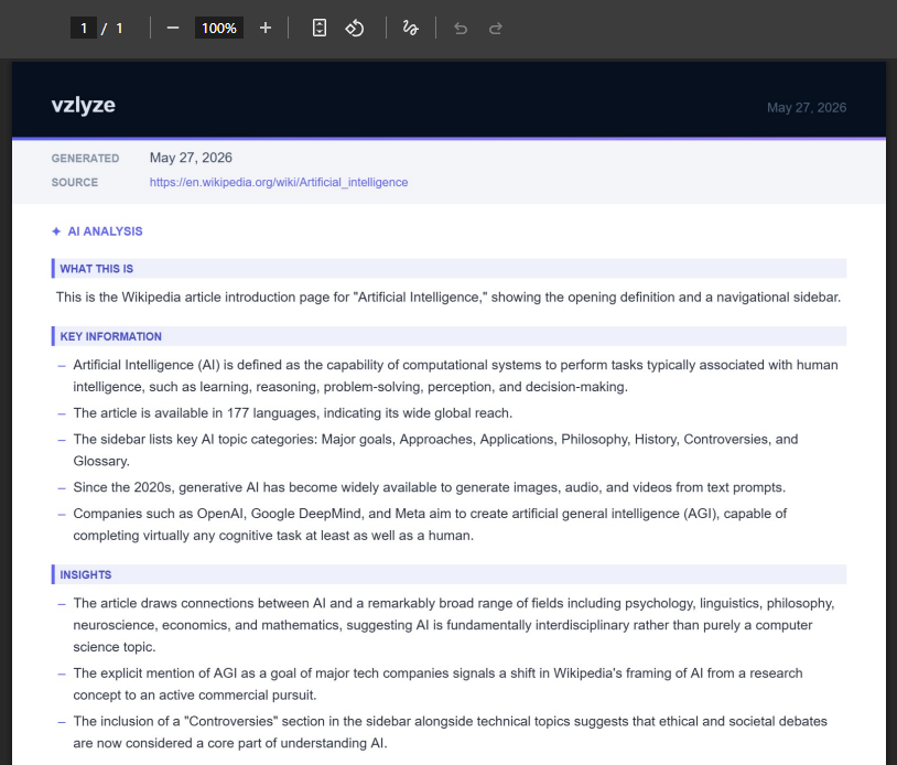 An exported VZLyze PDF with AI Analysis sections including What This Is, Key Information, and Insights